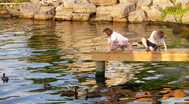 Dock safety - can they swim? ©  SW